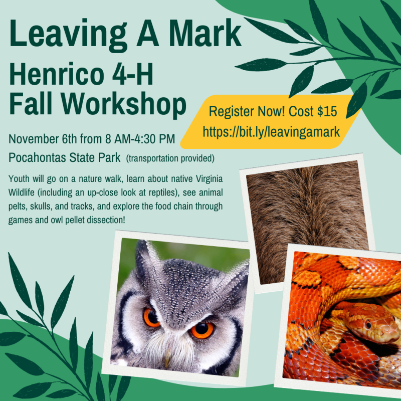 leaving a mark henrico county 4-H workshop flier